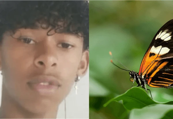 Borboleta amassada com água e injetada no corpo mata adolescente na Bahia; entenda riscos